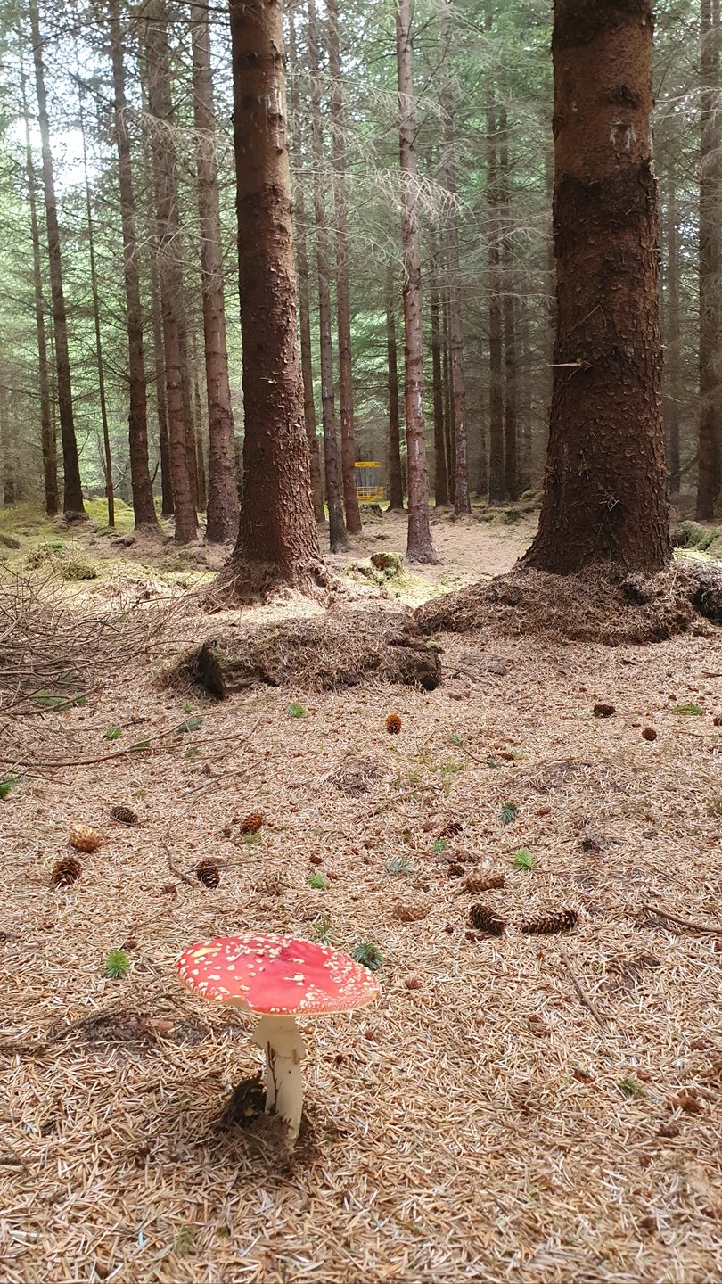 Hole #14 - Ace Outback