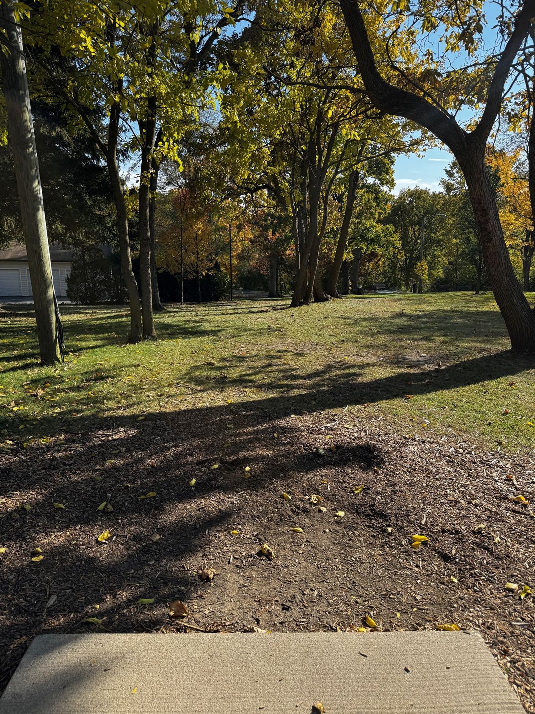 Hole 15 - White Tee. 