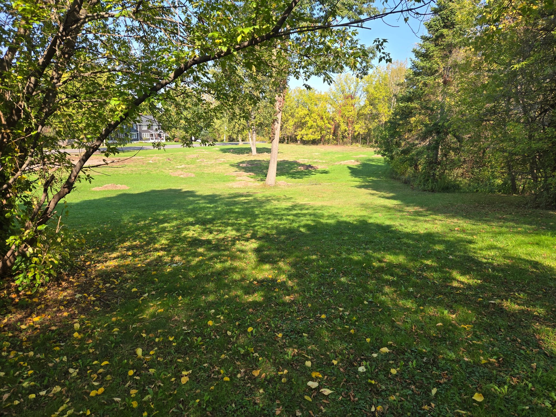 East hole 1 long tee