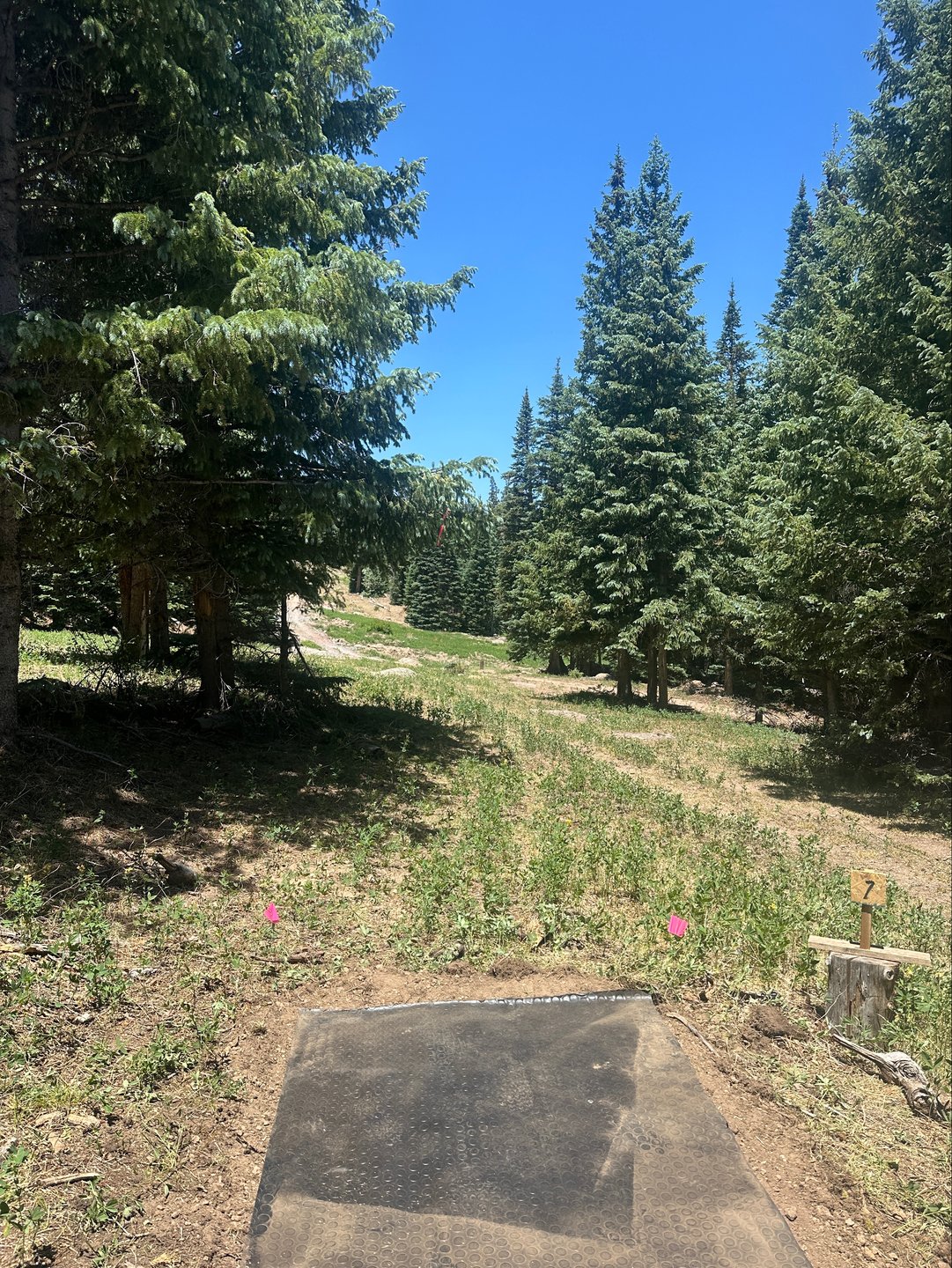 Tee of 7. Basket bottom right behind the three big rocks. Basket is visible 