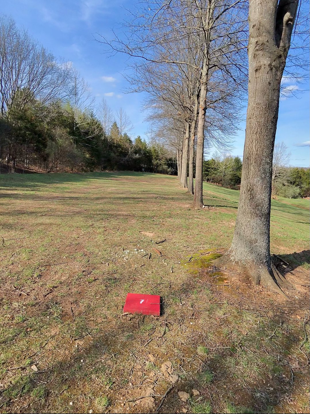Hole 7 Red