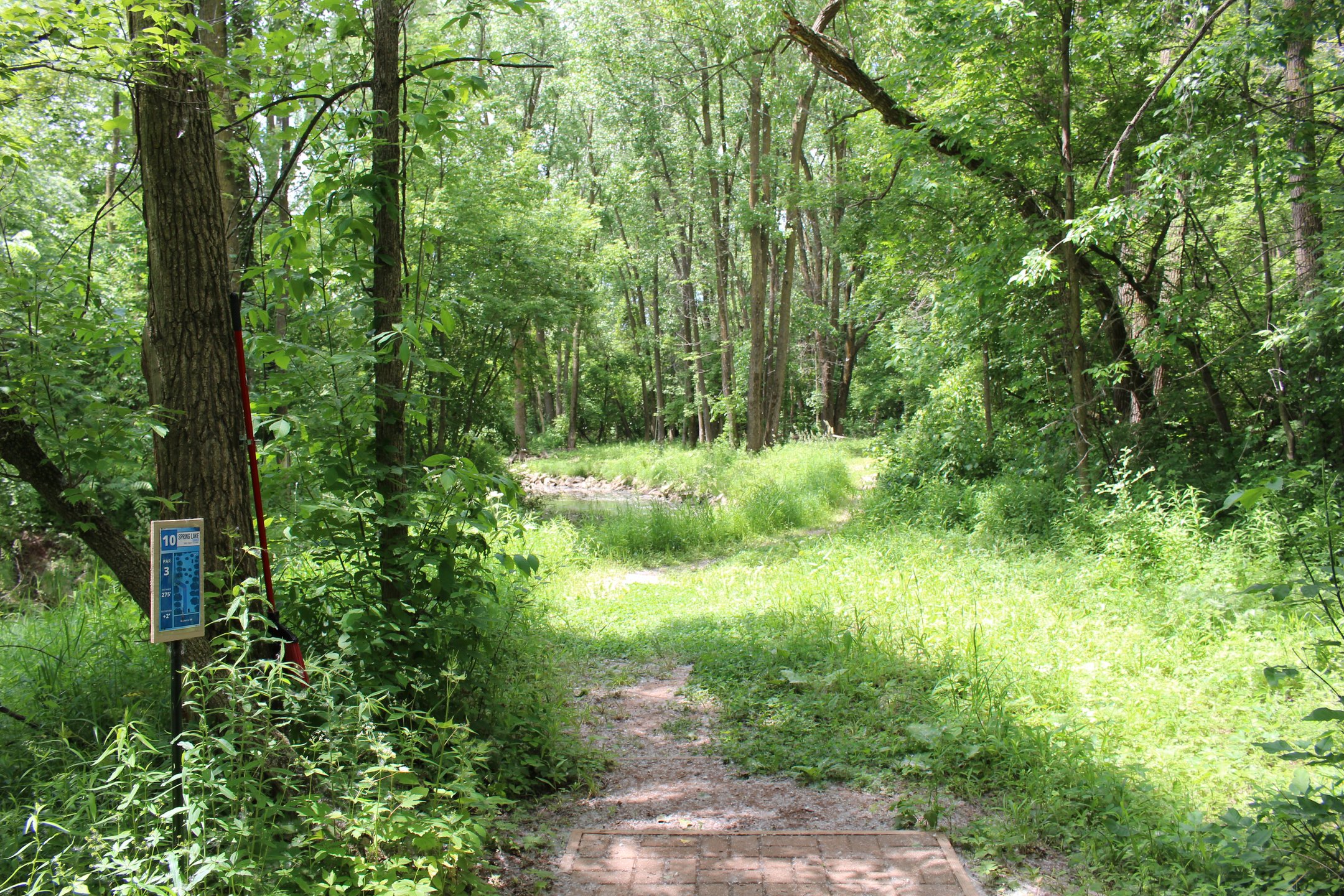 #10: Throw over the creek and hyzer to the right, or play it safe to a landing zone on the right.