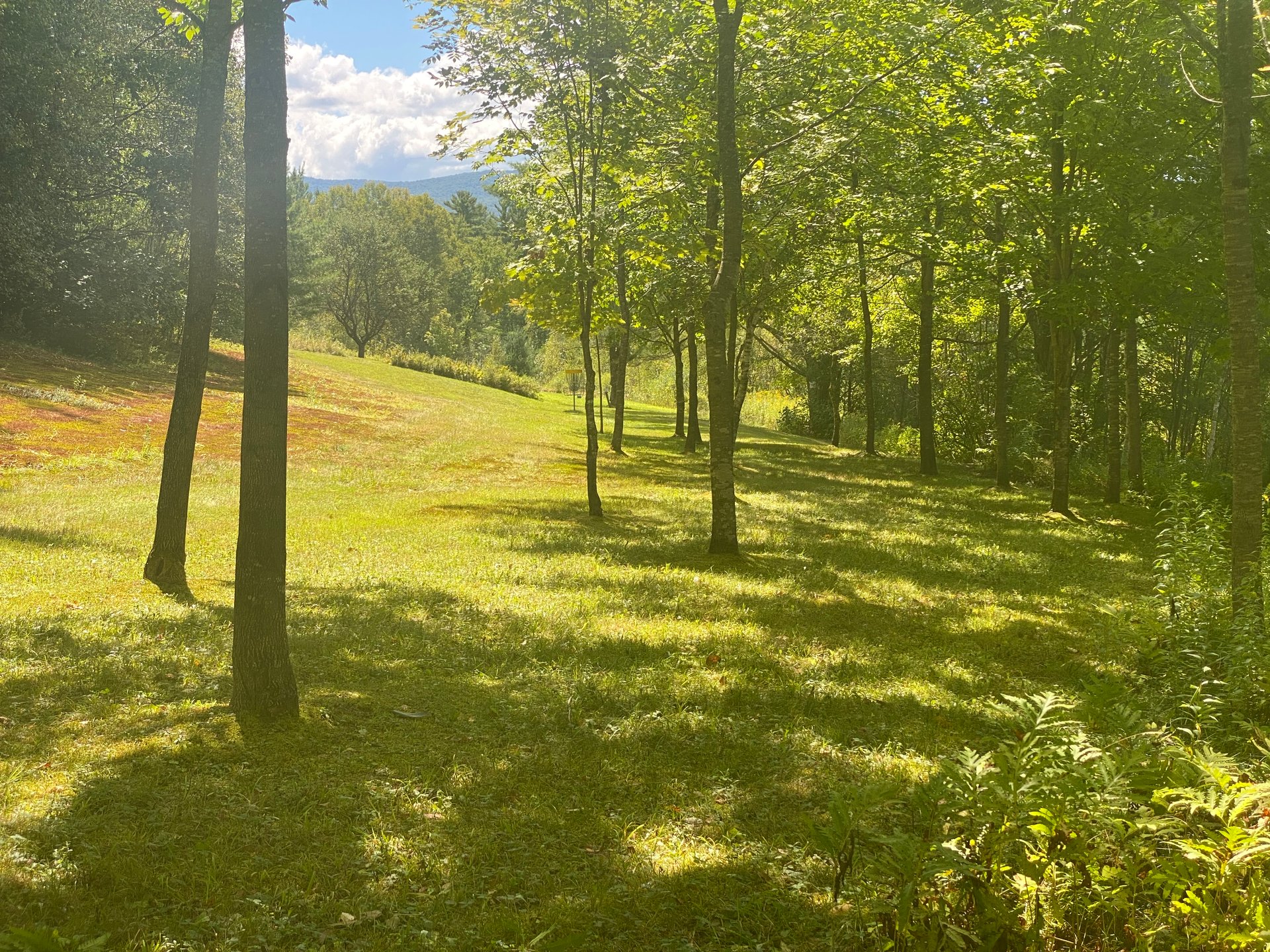 Hole 11 fairway from new blue tees. 