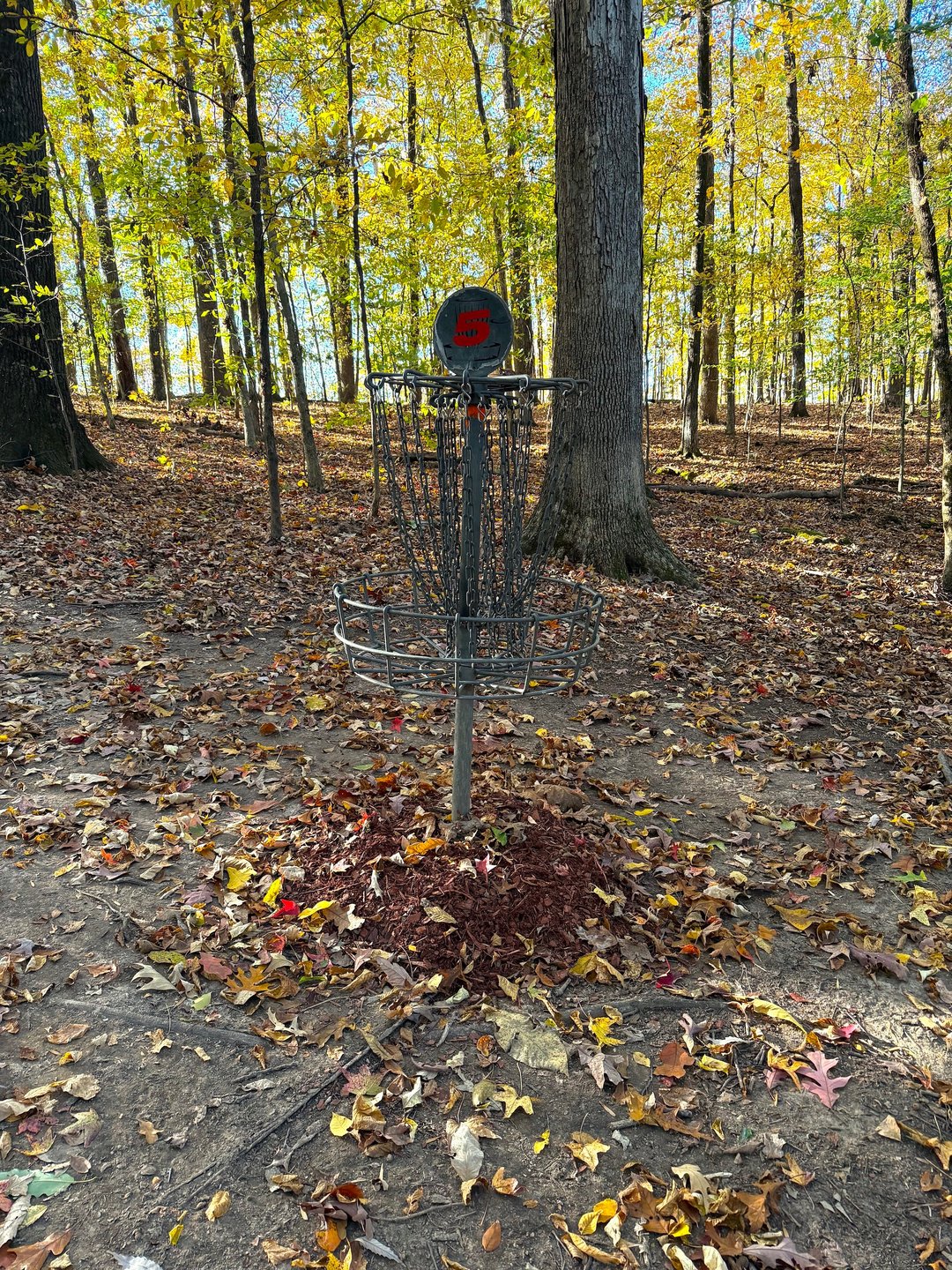 Hole 5 Basket