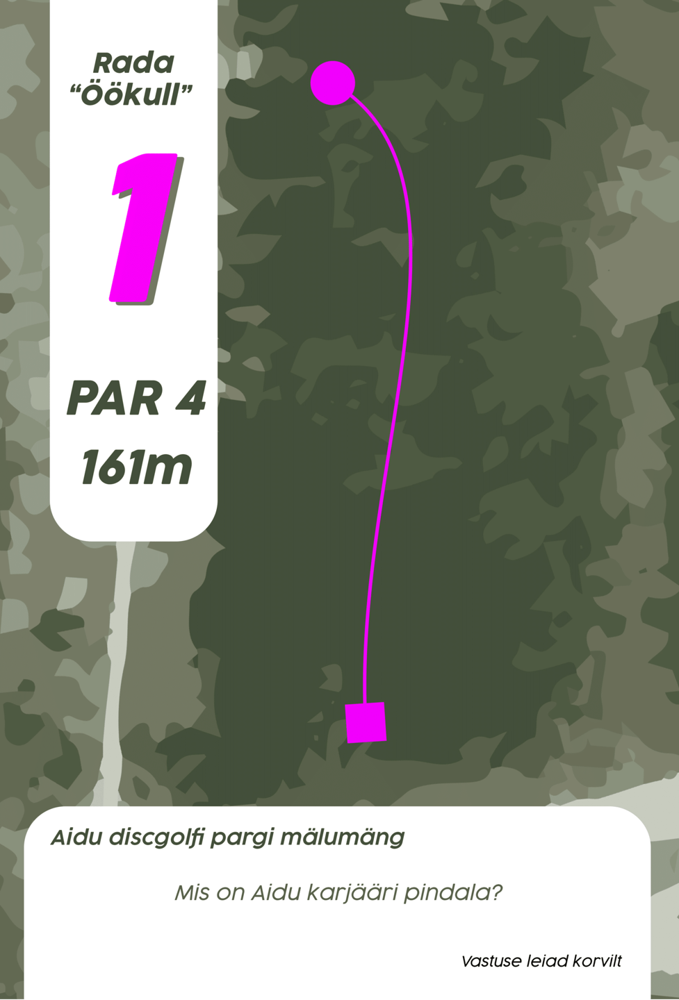 Öökull Hole 1