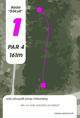 Öökull Hole 1
