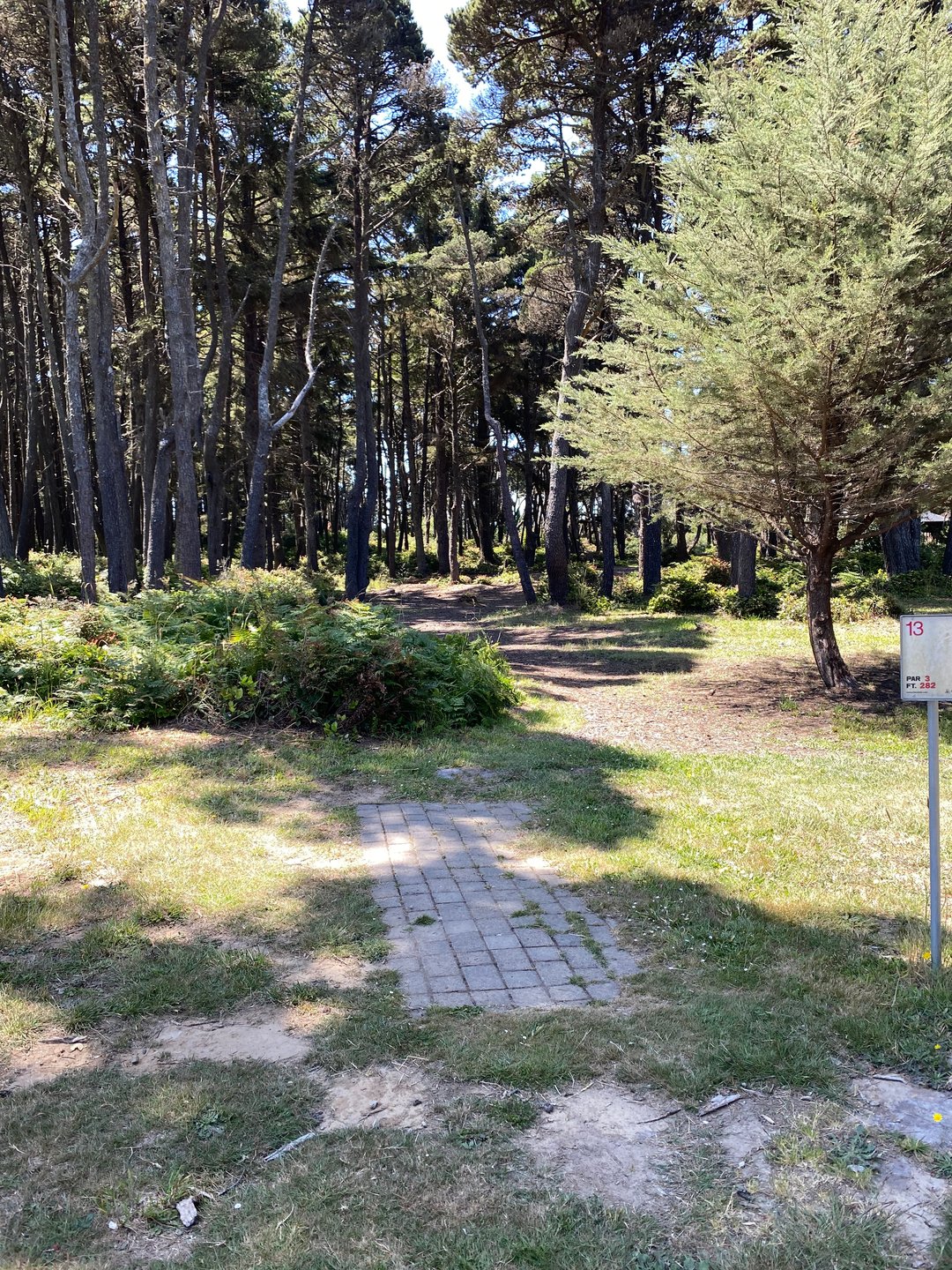 Tee pad for Hole 13 on the Main layout and Hole 20A on the Bandon 30 layout.