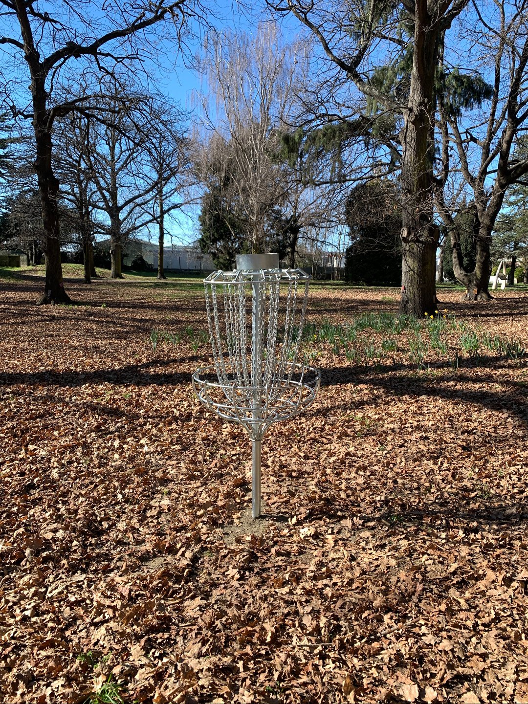 Hole 2 basket. Thick layer of leaves so watch your disc 