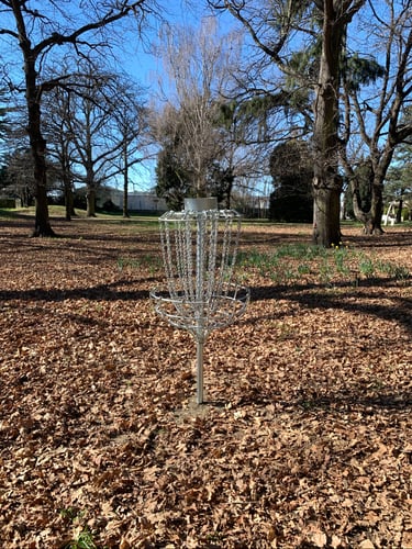Hole 2 basket. Thick layer of leaves so watch your disc 