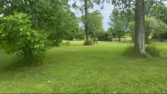 Hole 2 green