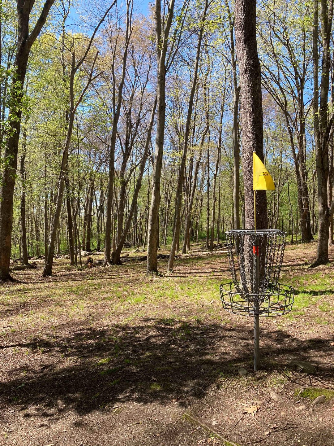 View from Hole 6 basket back up fairway