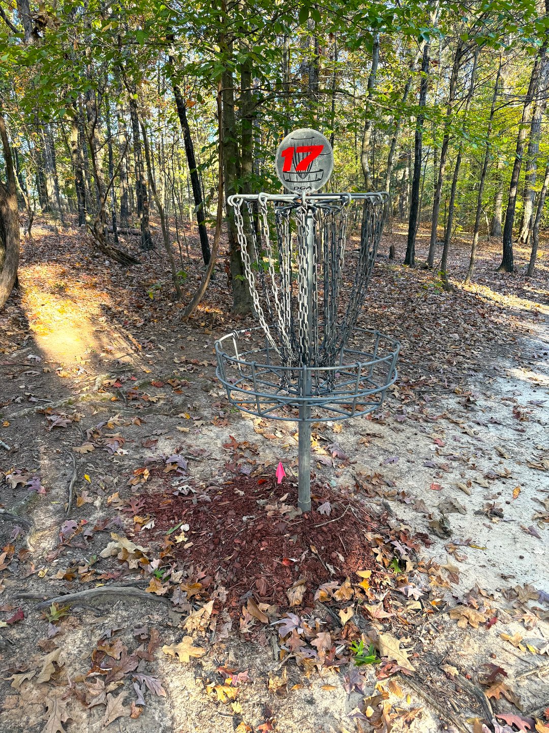Hole 17 Basket