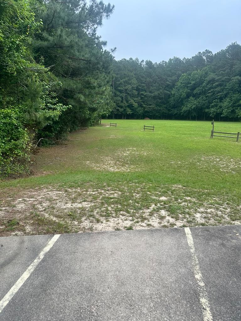 Hole 3 View from Long