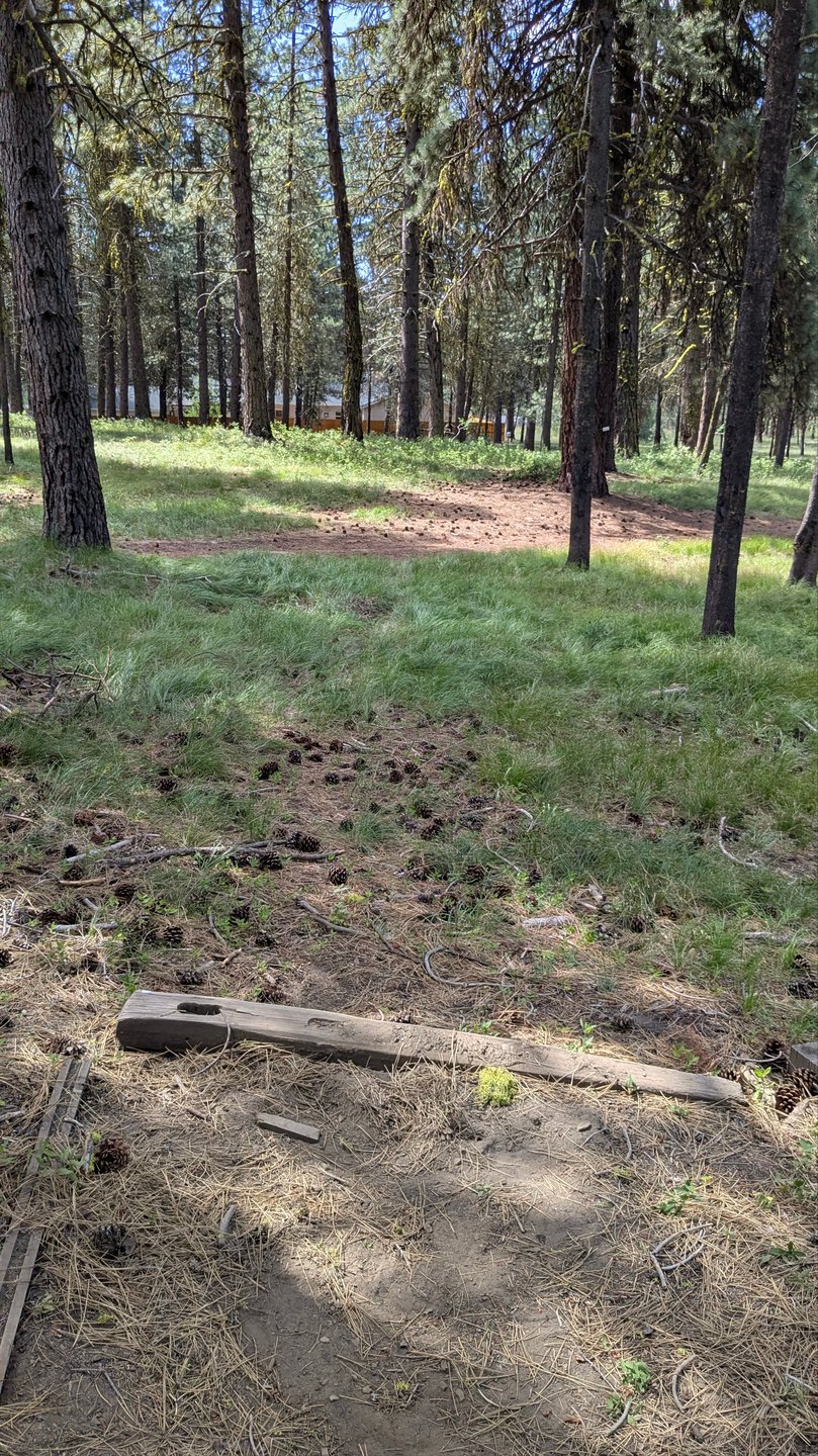 #20 - Tee pad
