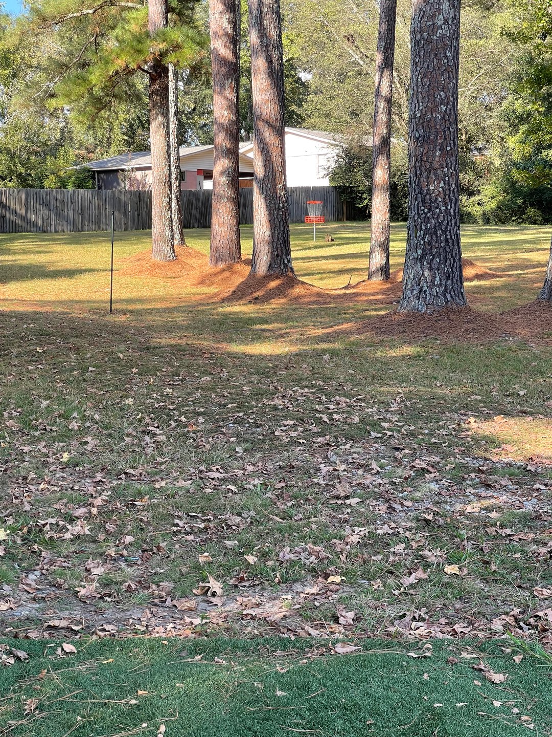 tee view