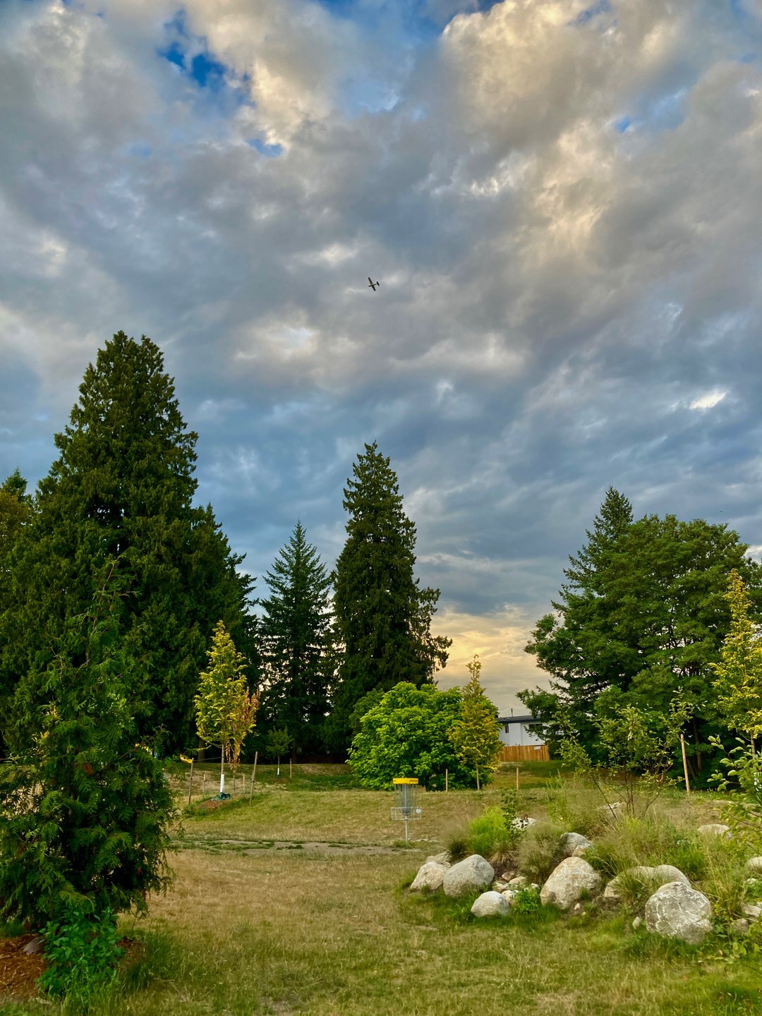 Take to the sky. 