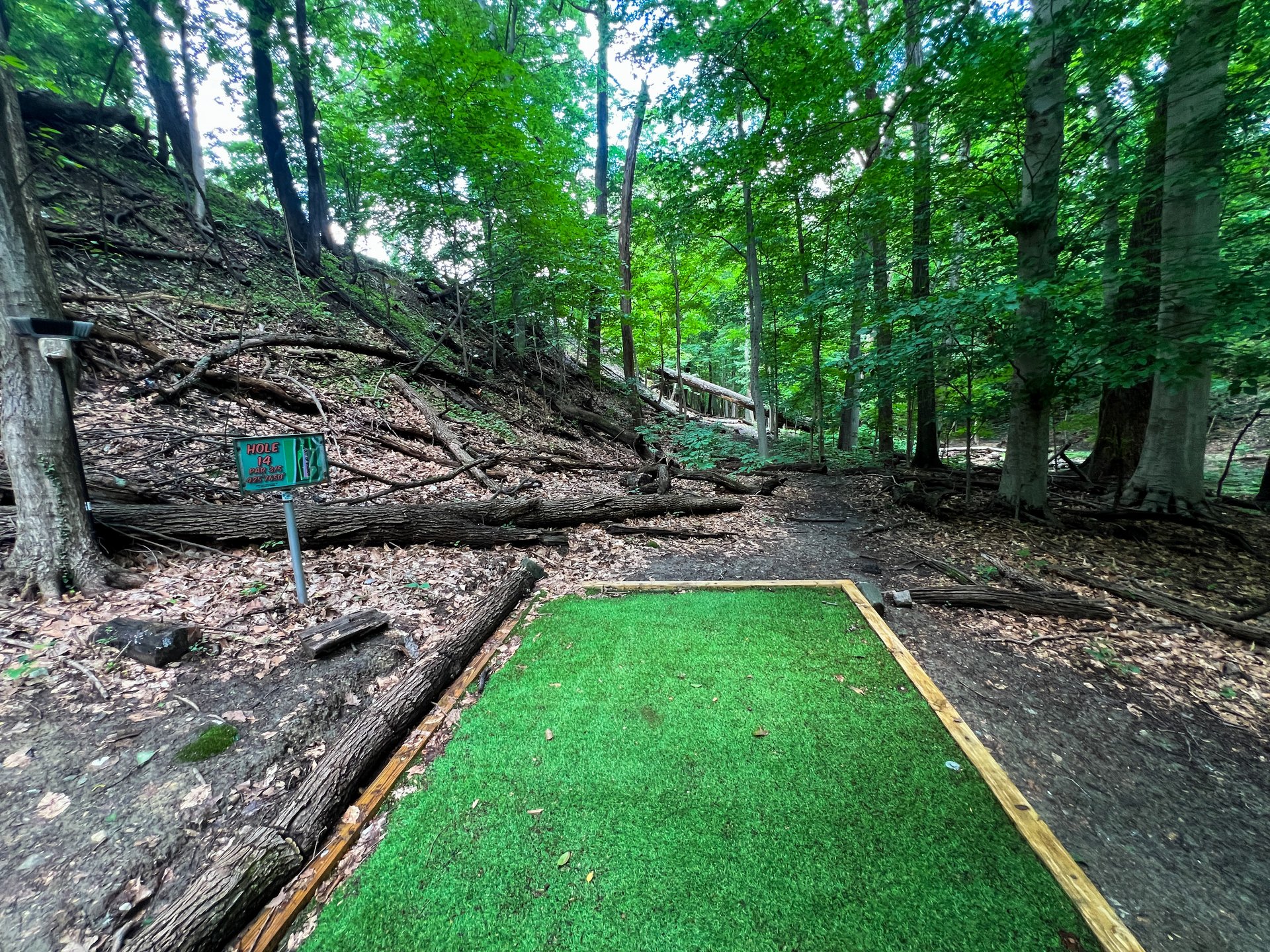 Hole 14's tee. Pink basket is Par 3, 407 ft, and is straight ahead and then down and slightly to the right. Hole 14's Yellow basket is Par 5, 575 ft. Yellow is past Pink's basket, over the small bridge and on the other side of the stream. OB is defined by white poles with red cap. OB in the river and across it. OB on the other side of the river ends once you have passed 13's tee. 
