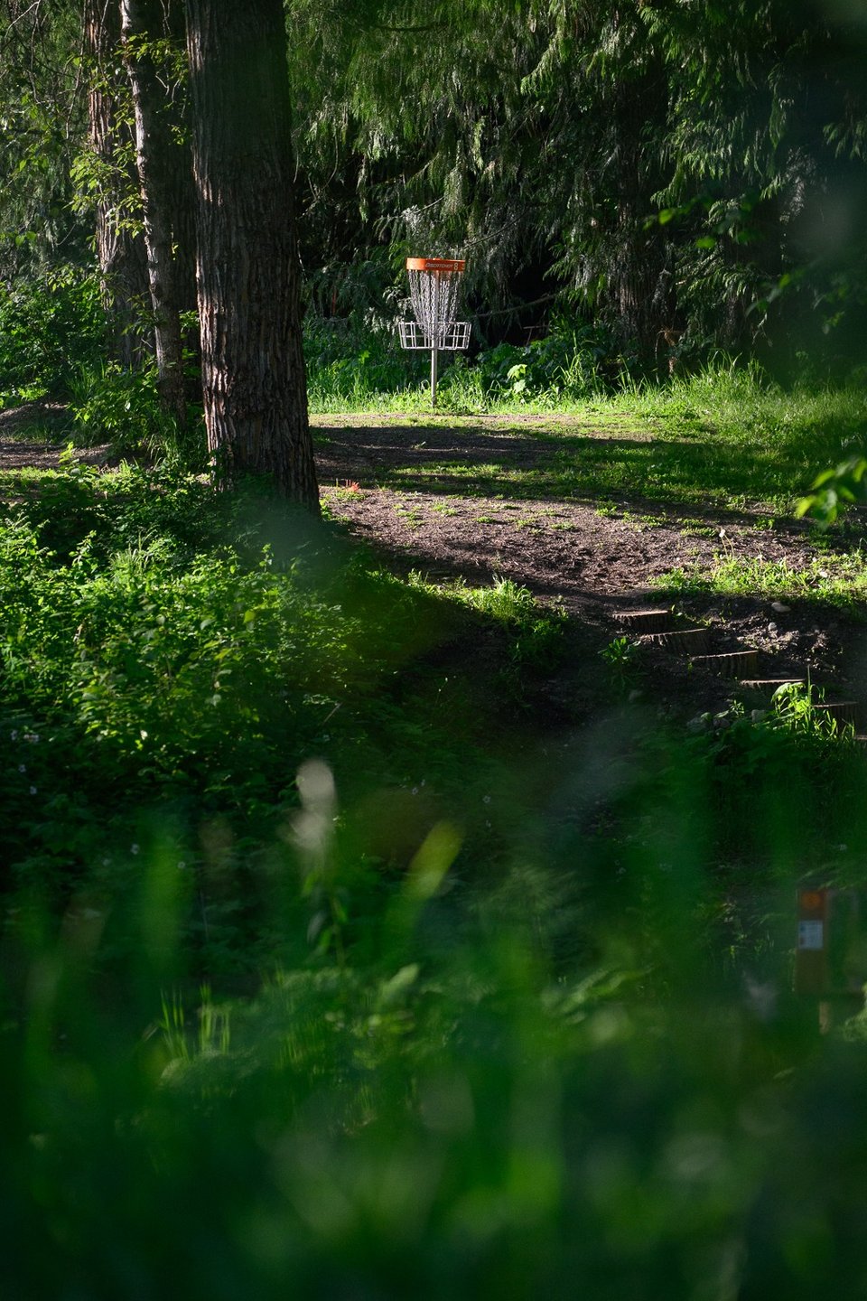 Hole 8