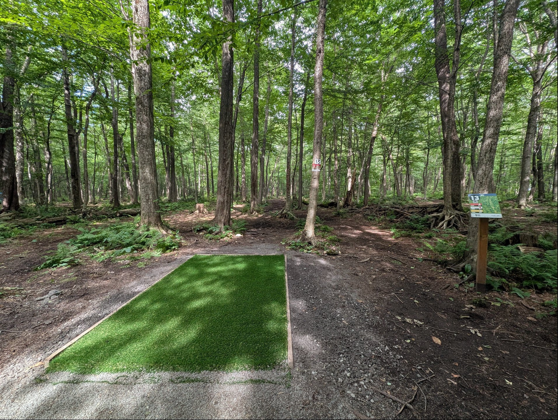 Nouveau/New turf #13