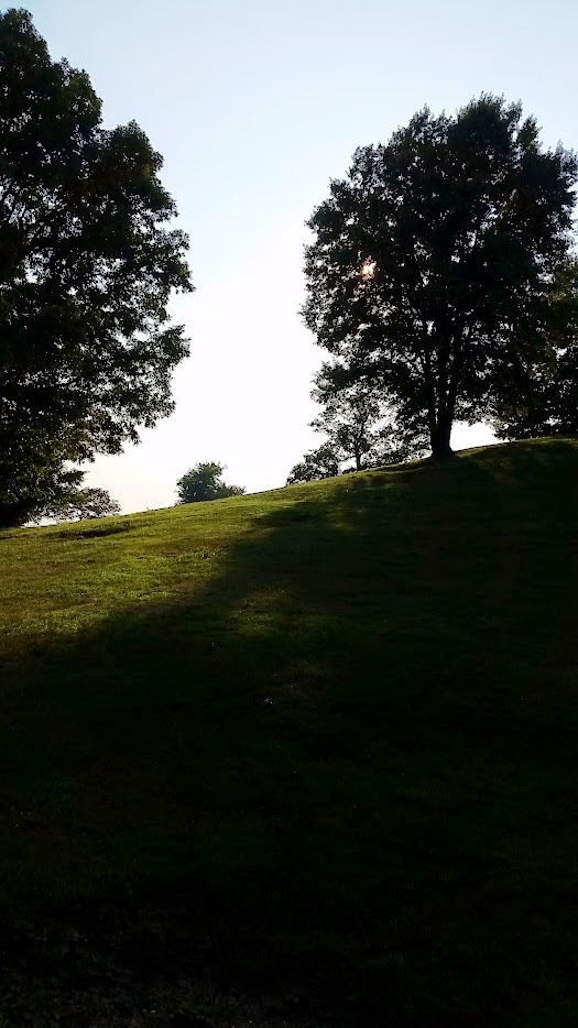 older photo of 16 from the short tees