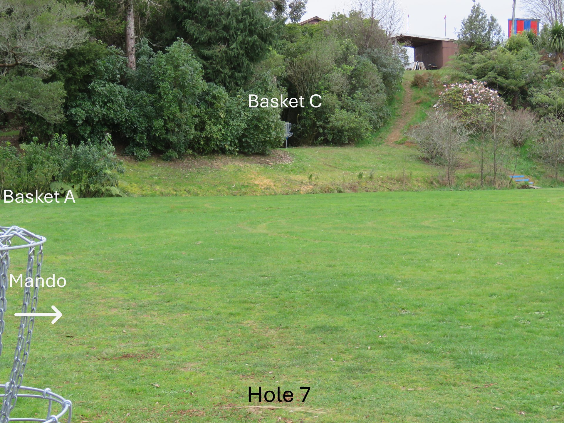 Tee from bark - mando right past basket A