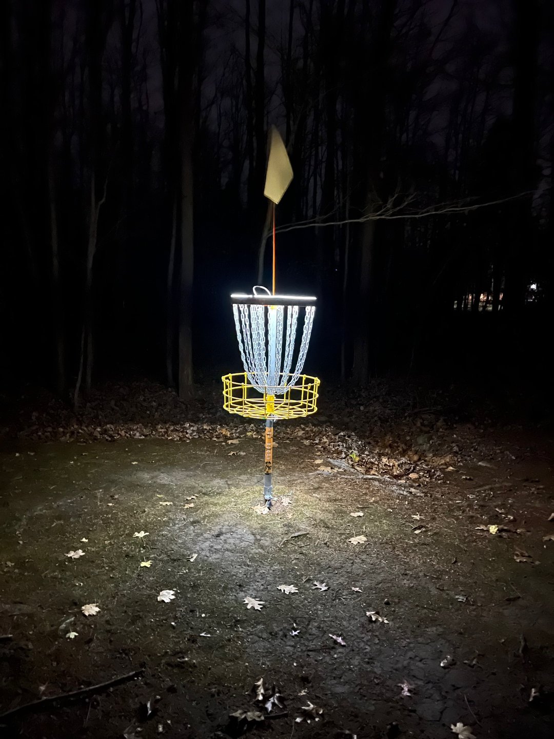 Basket 5 lit @ nite!