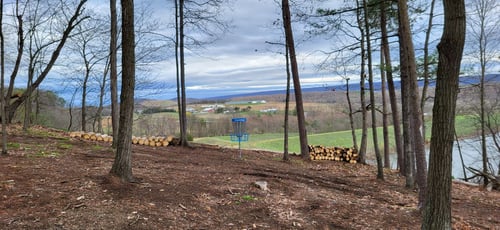 Hole 12 Basket Location at Faylor Lake. Cut logs on either side are for aesthetics and to catch roll aways