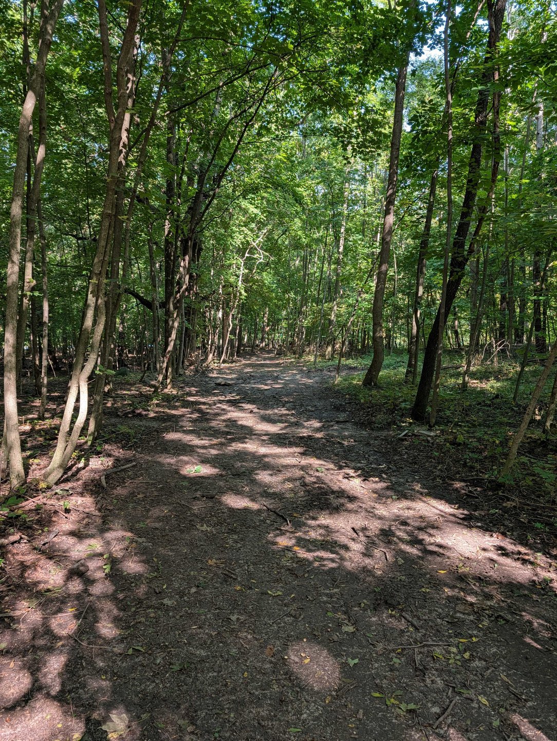 Hole 18 - Continued fairway - straight shot downhill that finishes slightly to the right 