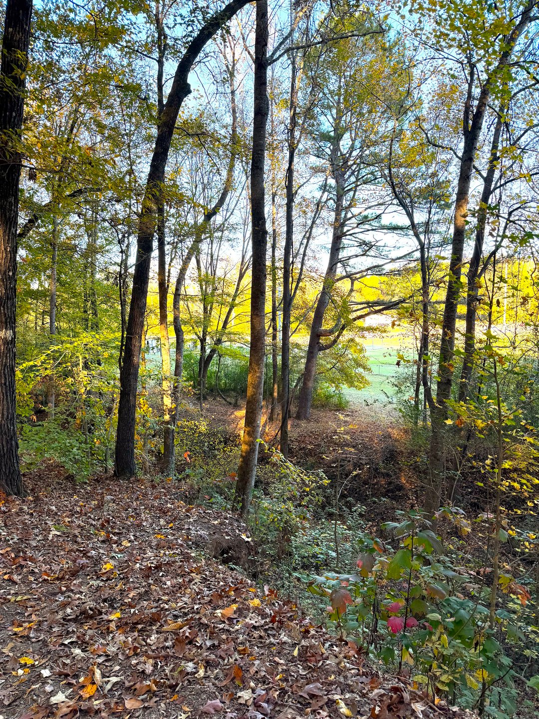 Hole 9 Across the Creek