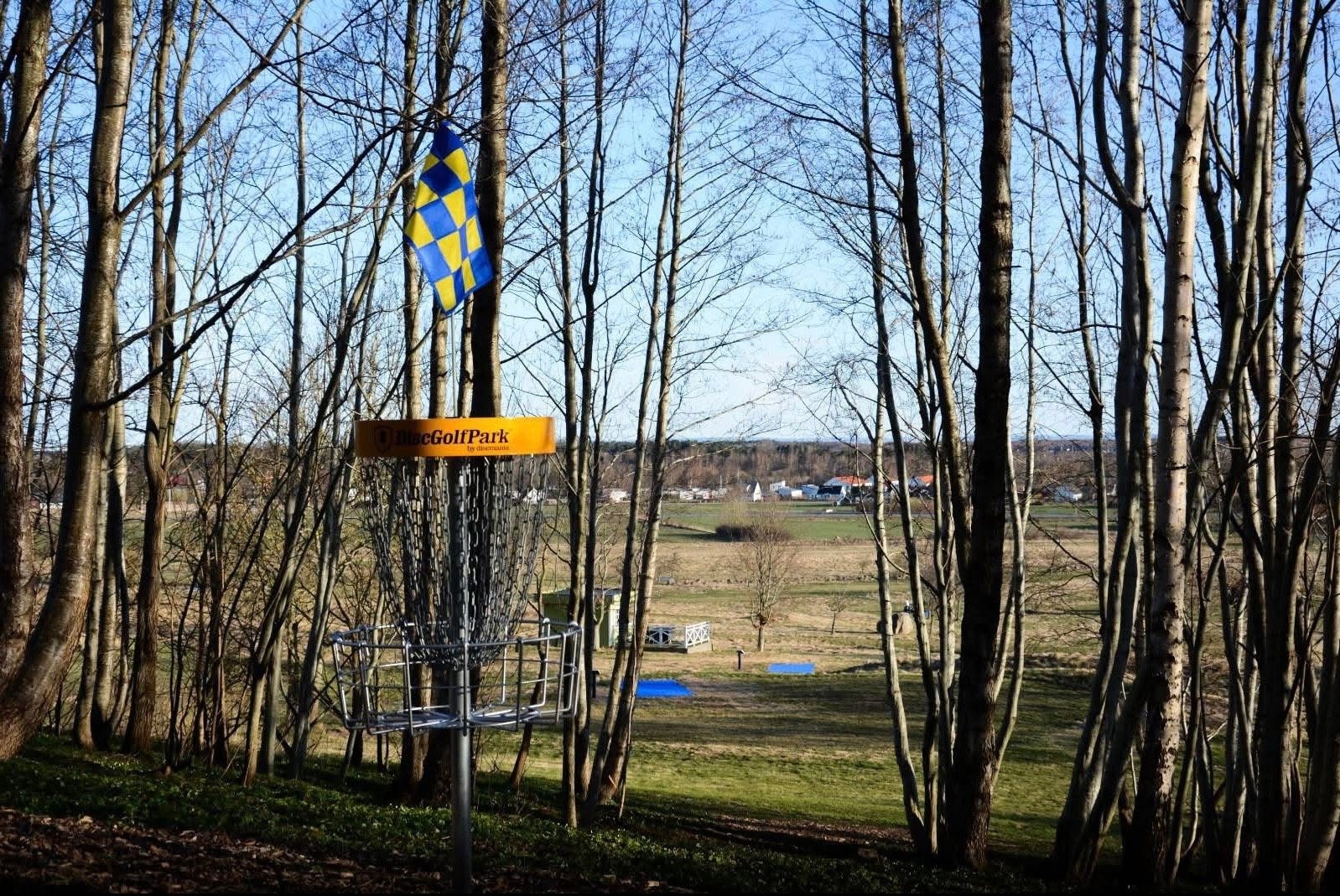 Blå/Guld 12