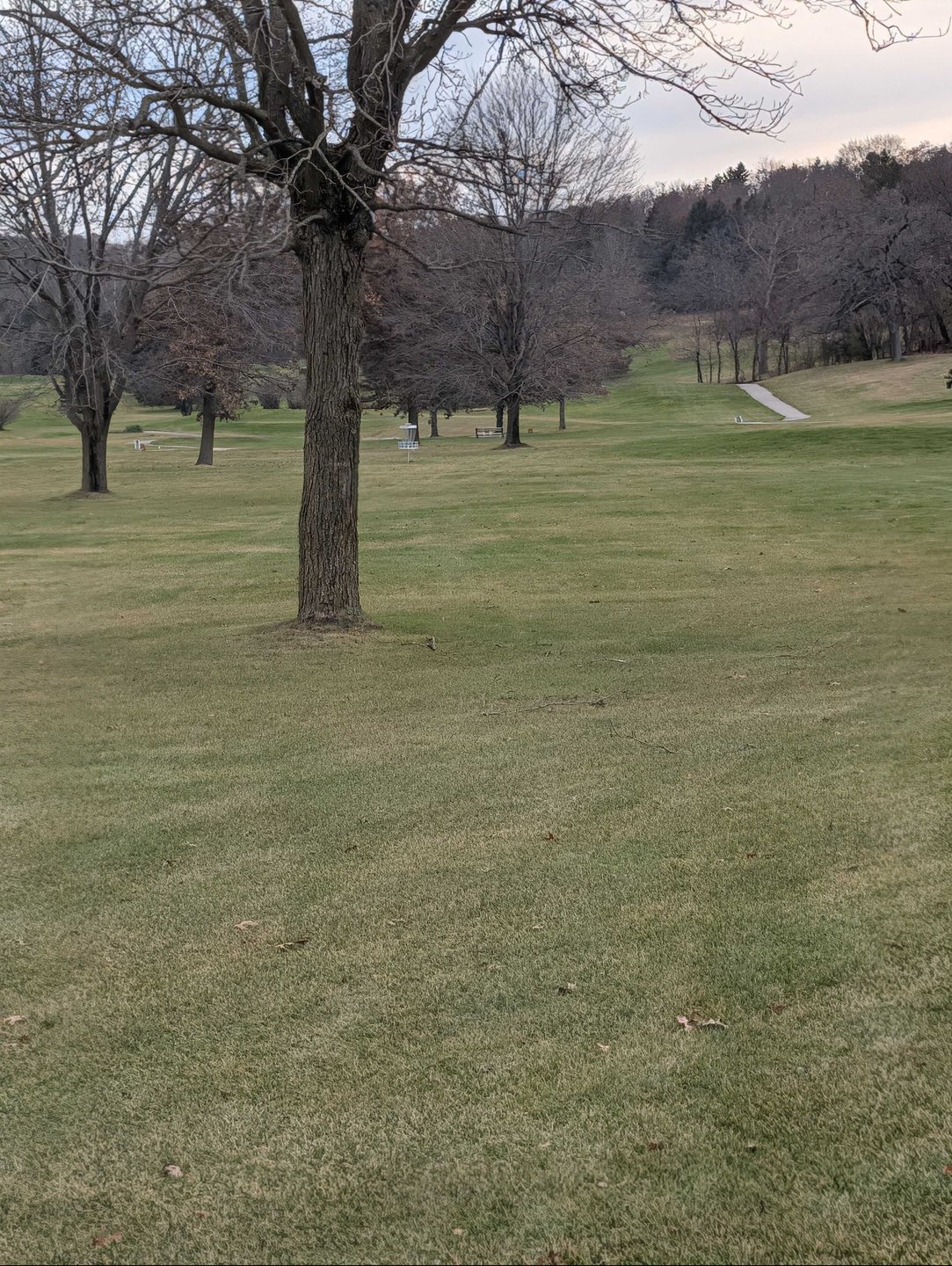 basket location zoomed in from long/short tee