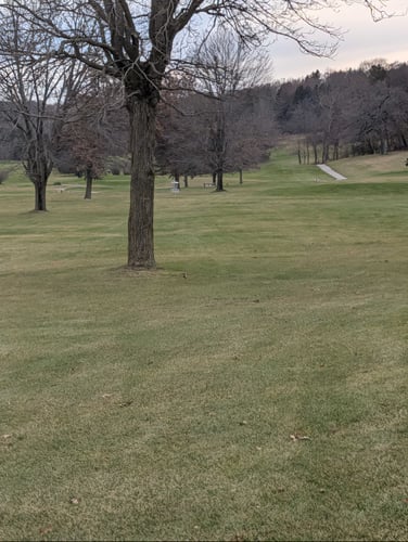 basket location zoomed in from long/short tee