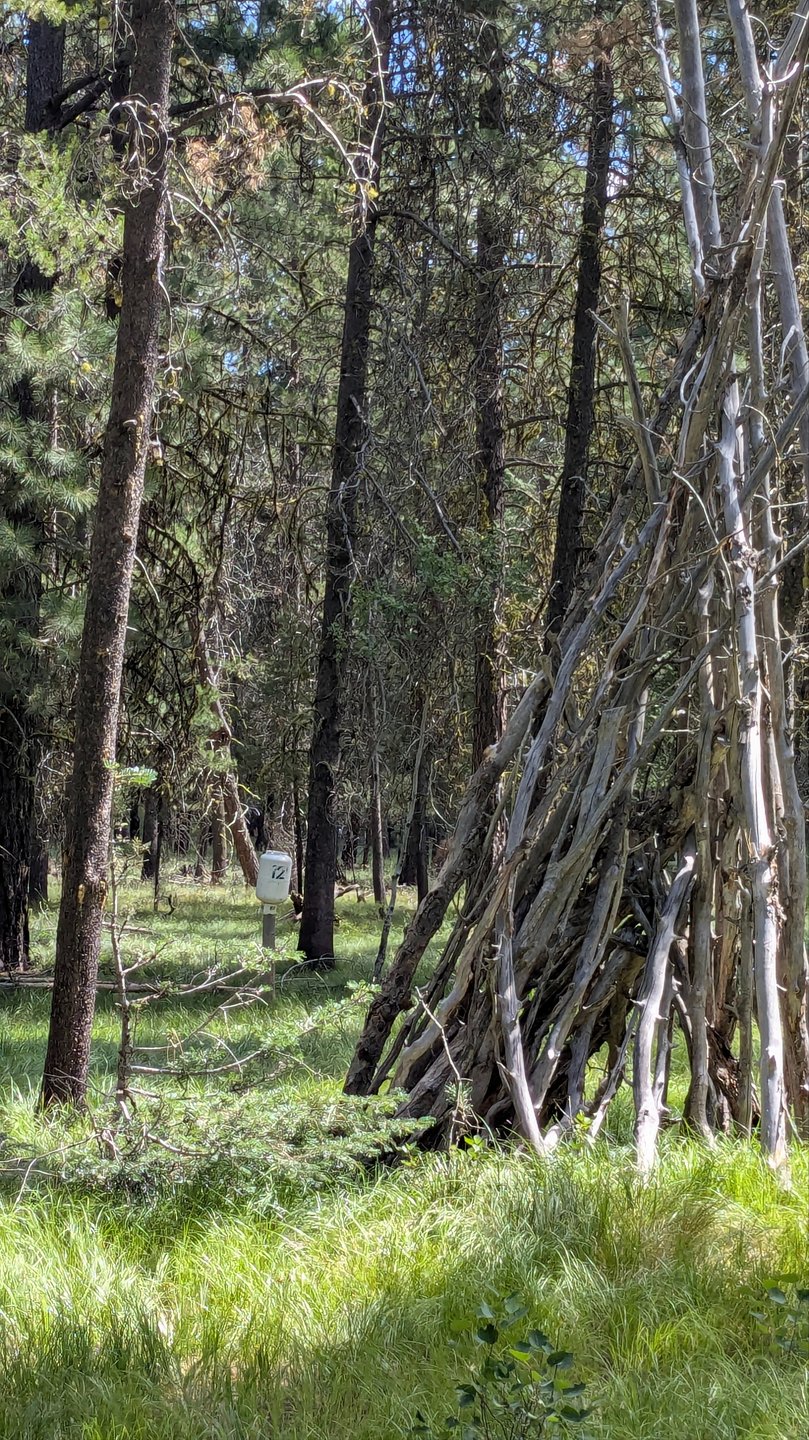 #12 Teepee Hole and Basket (Par 4)