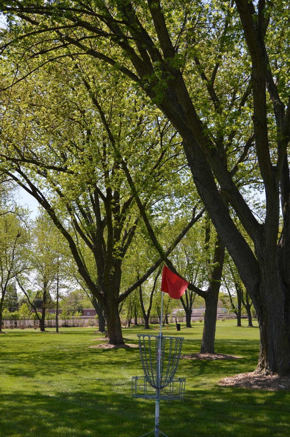 Basket Hole #6