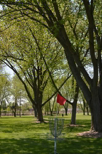 Basket Hole #6