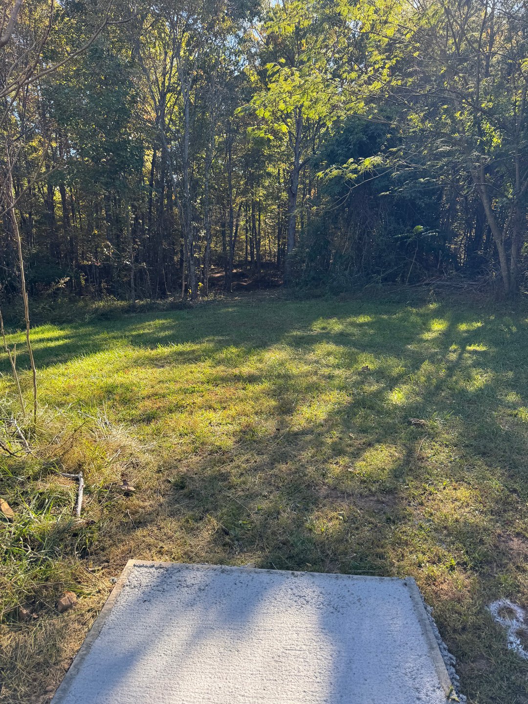 #8 tee pad