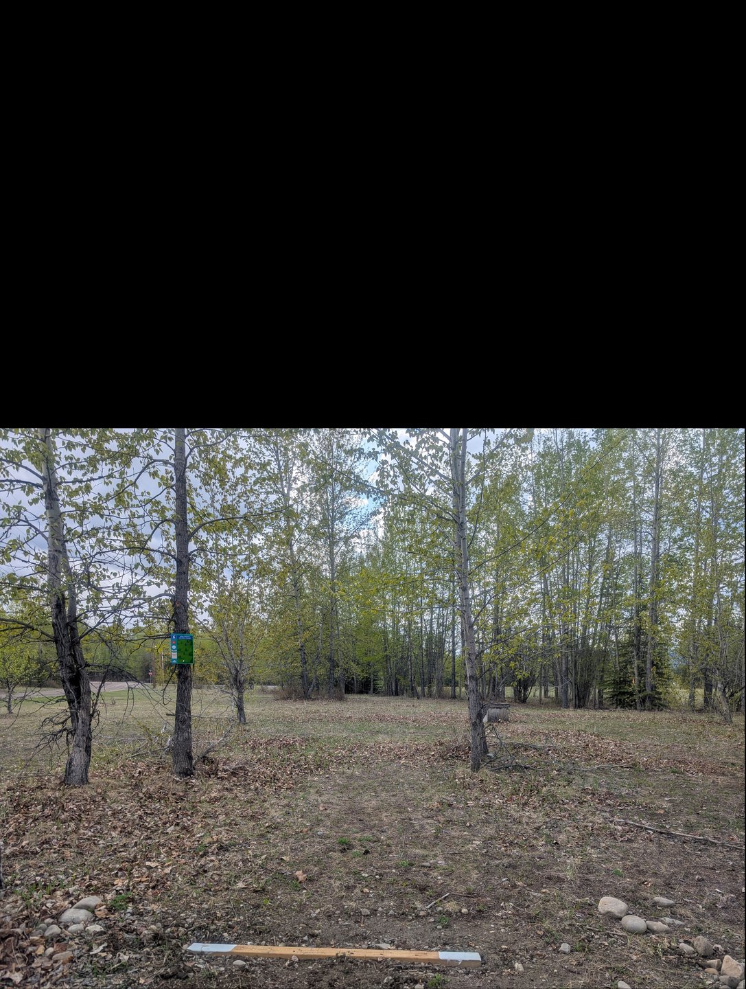 Wolverine Hole 6