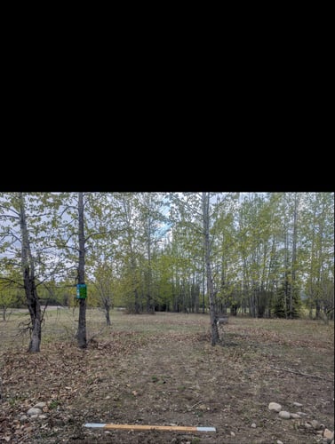 Wolverine Hole 6