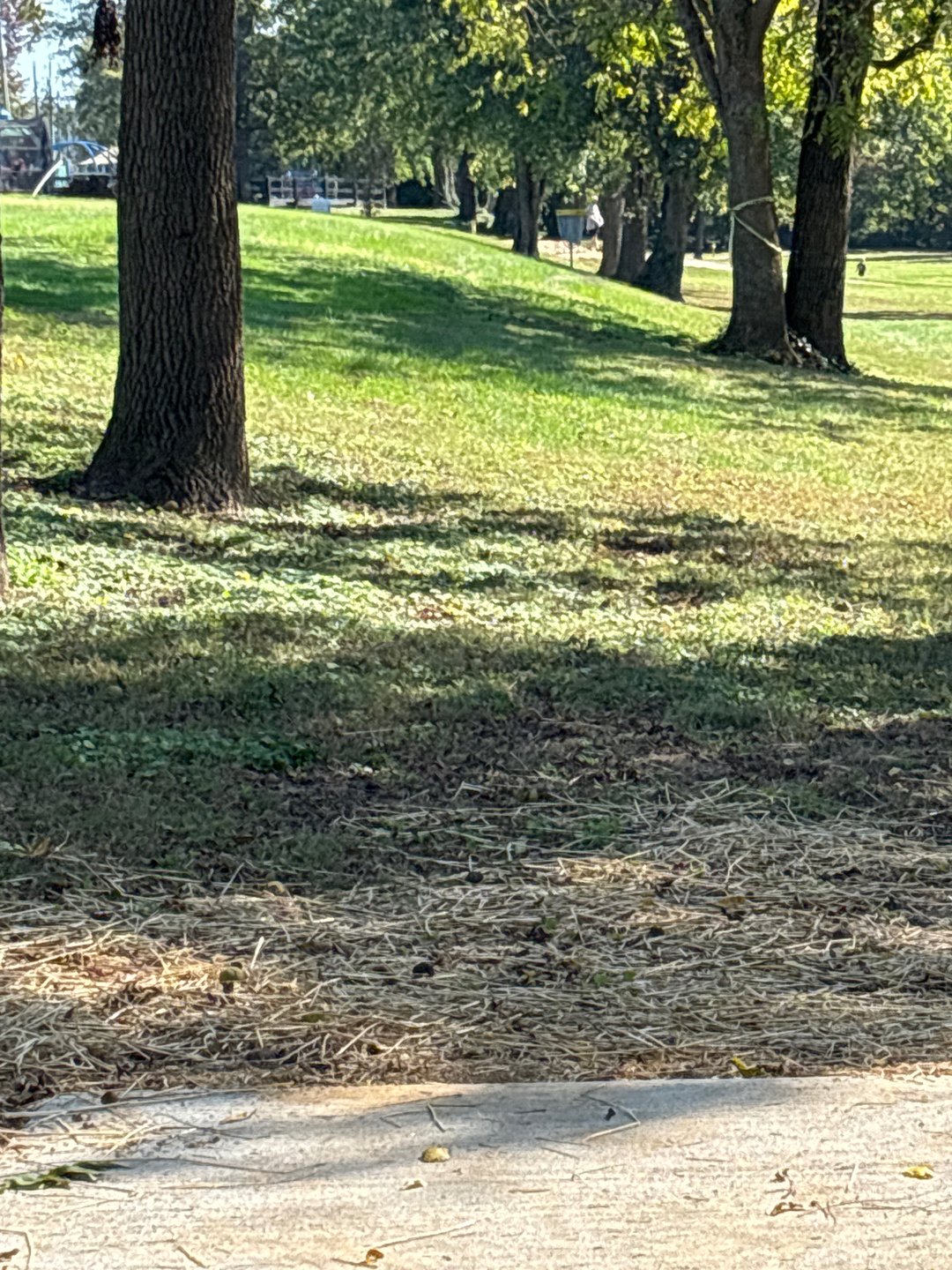 Tee to green 