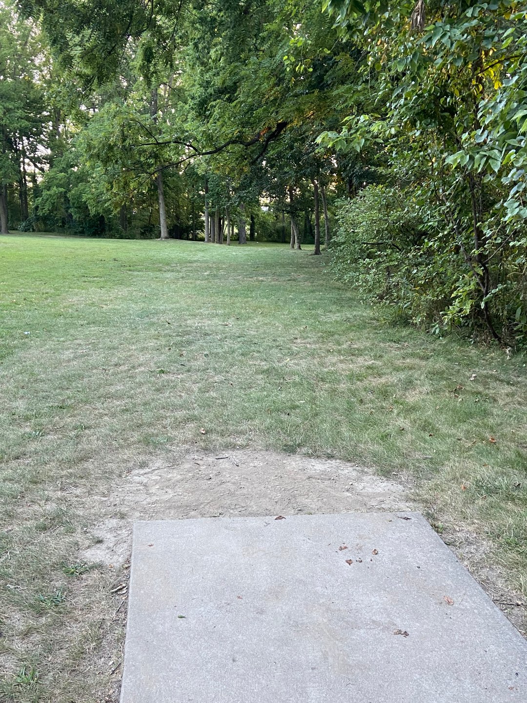 Hole 3. Basket bends to the right. Creek behind the basket. 