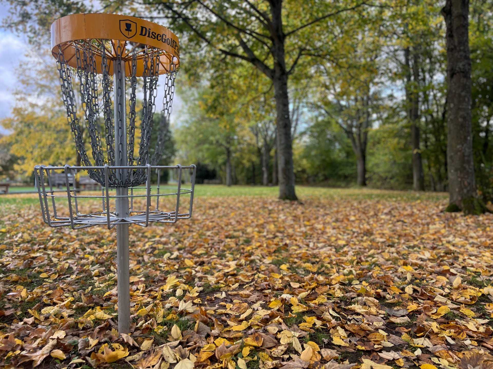 Hole 2 looking back in direction of tees