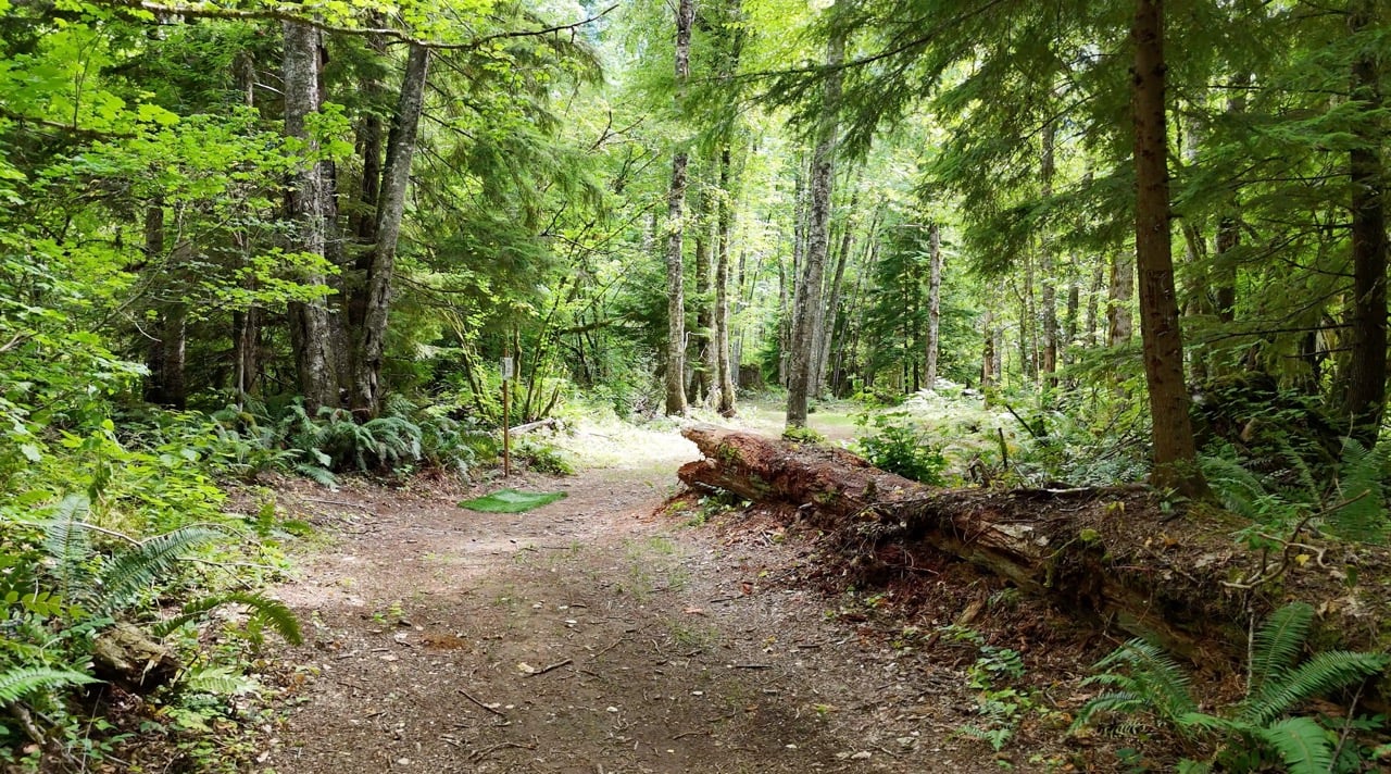 Hole 9 fairway and short T