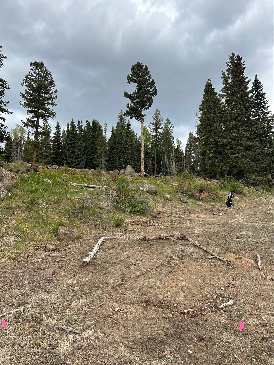 Tee area of 8, basket is just to the right of the big rocks and left of the big Fir