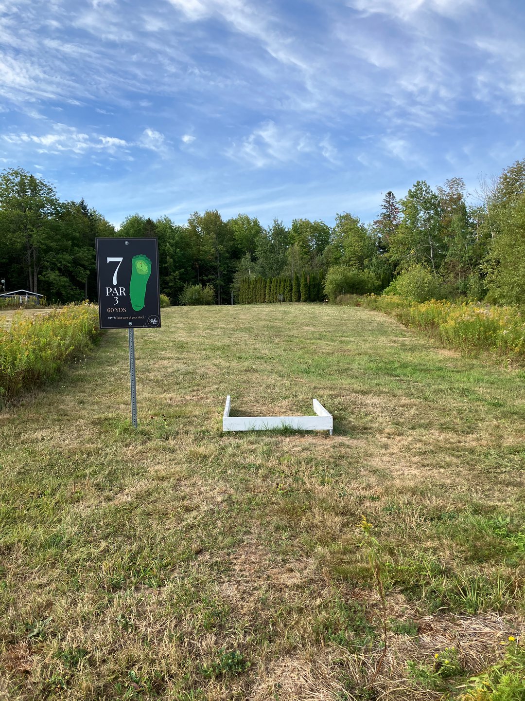 Hole 7 tee