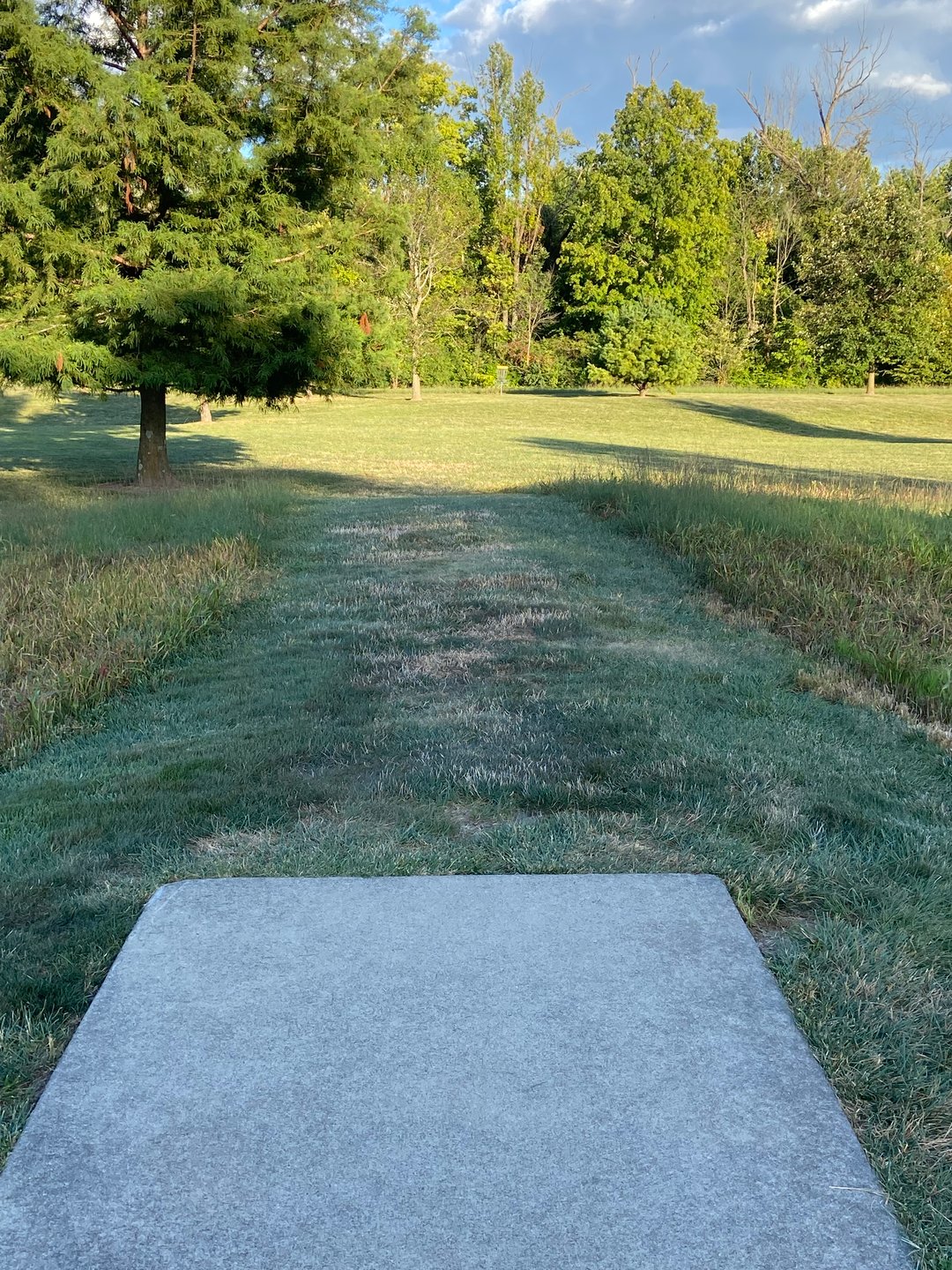 Hole 15. Basket to the left. Creek is a little ways behind the basket. 