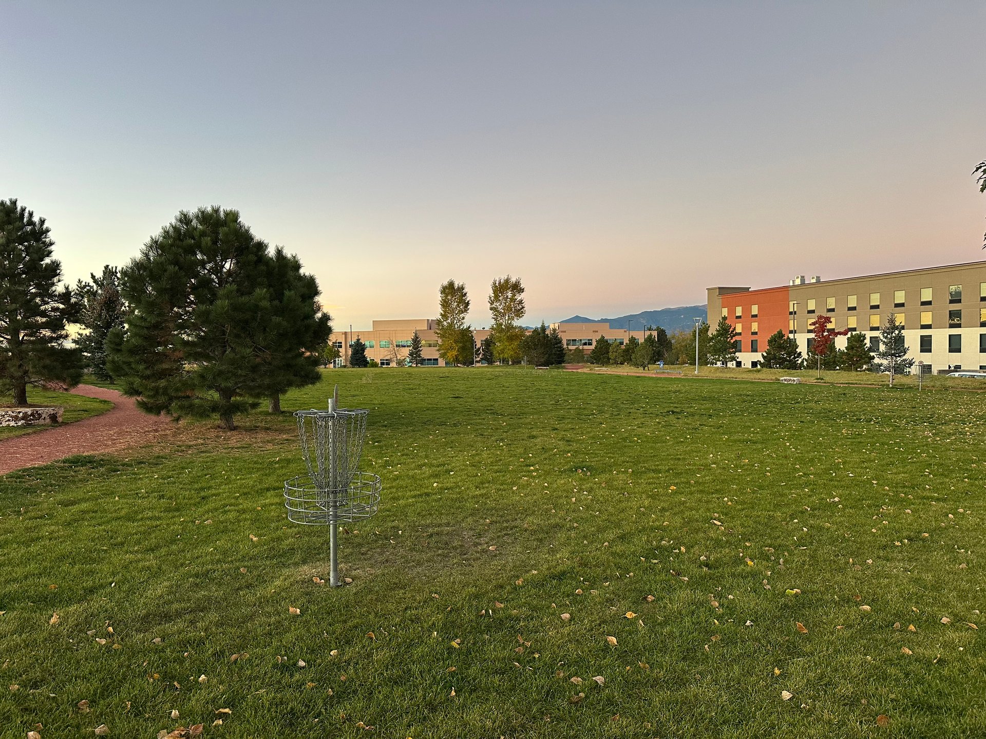 Looking over the grassy area from basket 5
