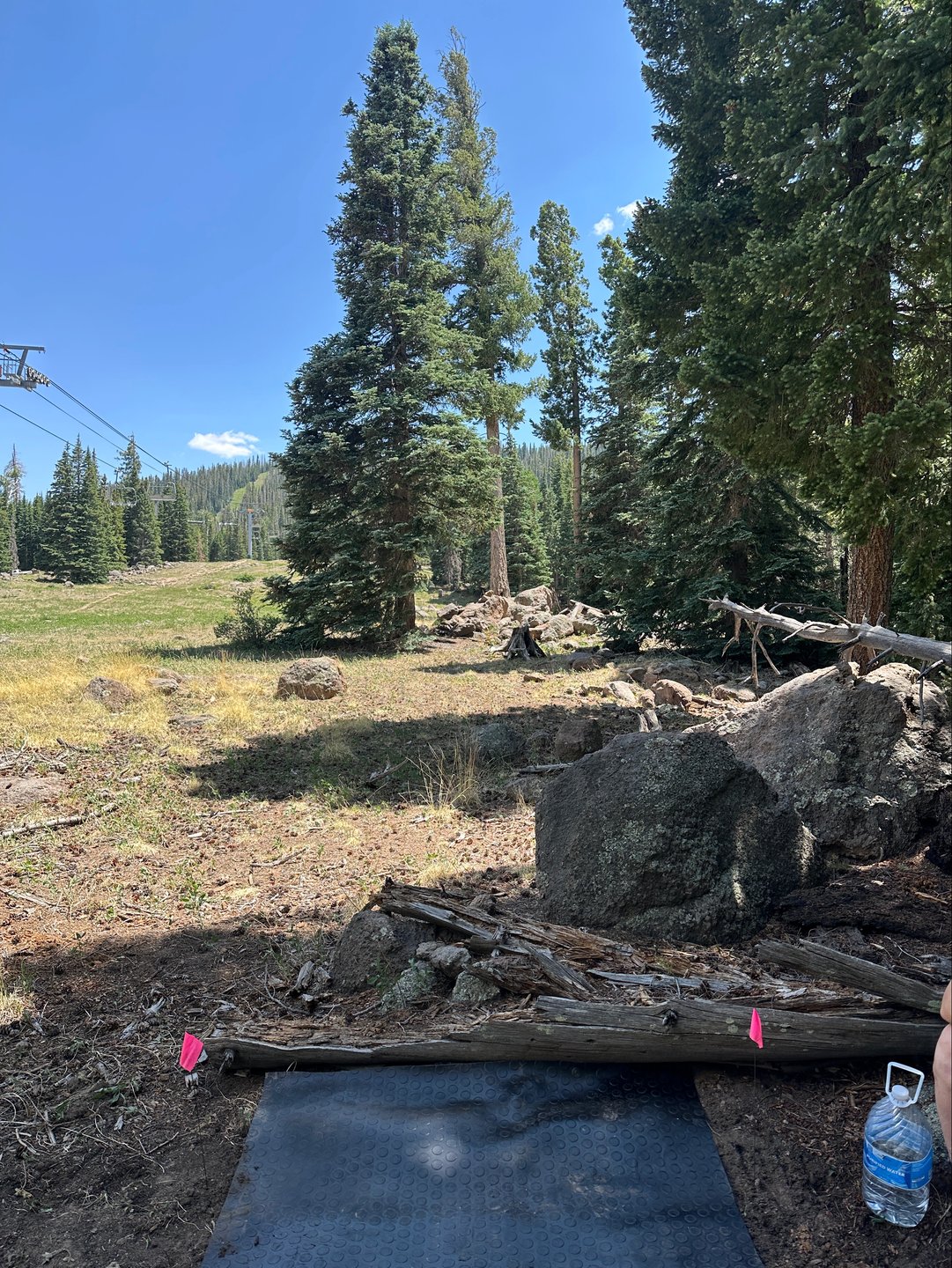 Tee of 14, mandatory right of the big Fir in the center.