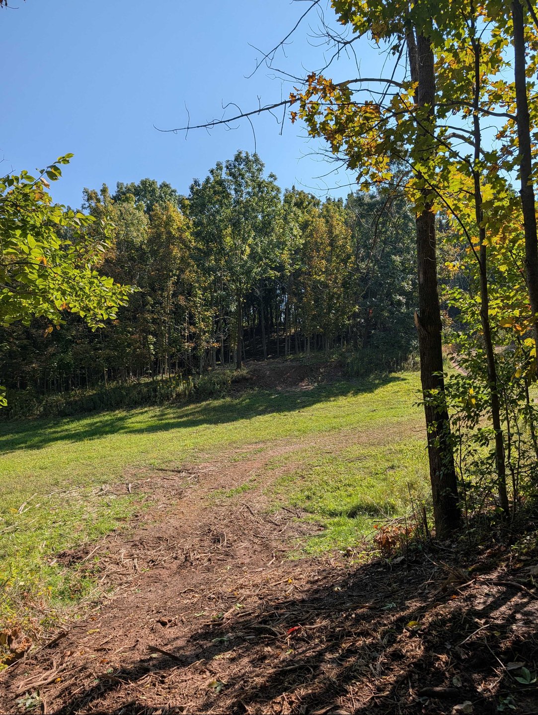 Hole 16 - Fairway from long tee - straight shot across the valley into the other side of the woods which will then push up the right side of the hill
