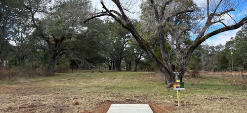 Albany Georgia Marine Base tee 13.  Fair rises to first grove of trees (red pin 295’) with blue pin located in second grove (389’). Tree to right blocks hyzer to right forcing tee shot to be low and straight.  