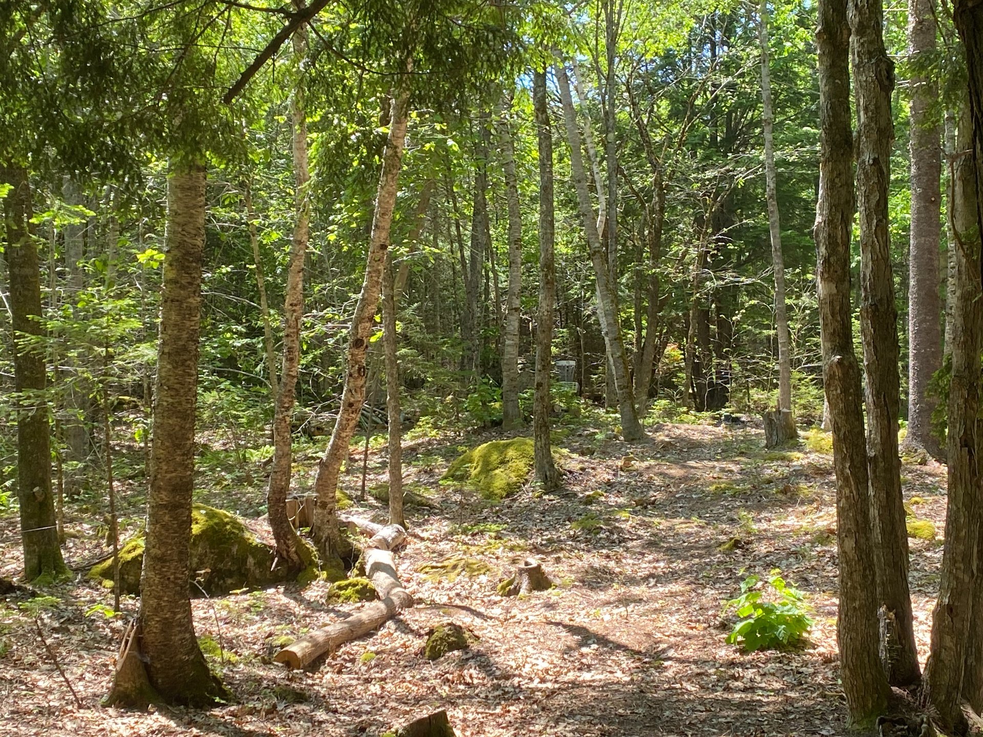 Approach to 15